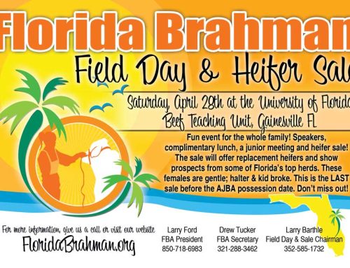 2018 Florida Field Day & Heifer Sale