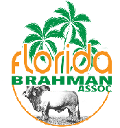 Florida Brahman Association Logo